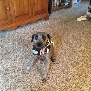 Meet your Posher, Tess